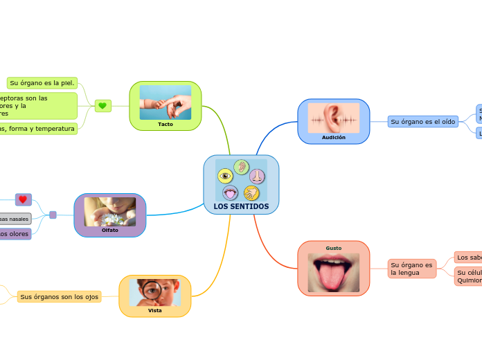 Los Sentidos Mind Map